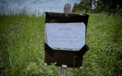 Magische Abenteuer am Monte Kuh